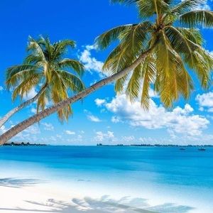 Meet your Posher, Cheryl-jesse